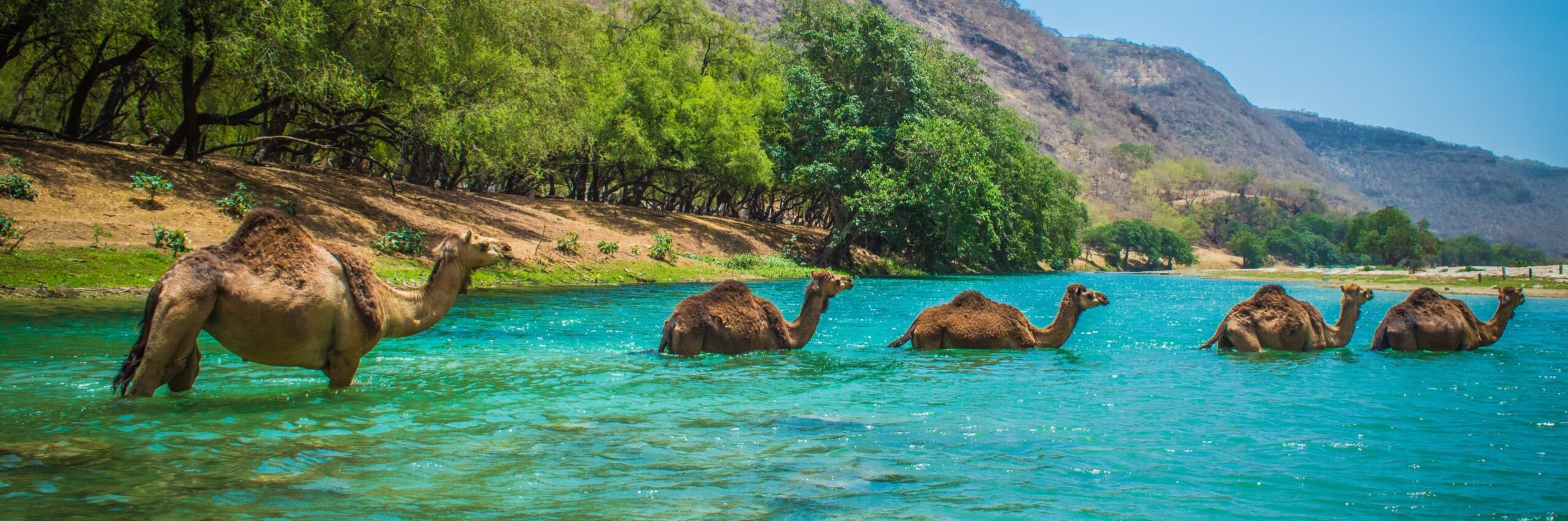 Best Places to Visit in Salalah